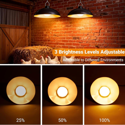 Solar Chicken Coop Light, Dual Lamps with Timer, 2400mAh Battery & Remote - Homvista