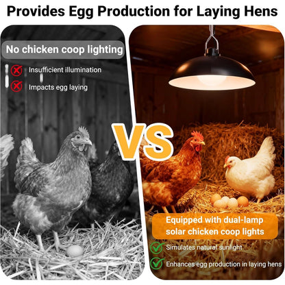 Solar Chicken Coop Light, Dual Lamps with Timer, 2400mAh Battery & Remote - Homvista