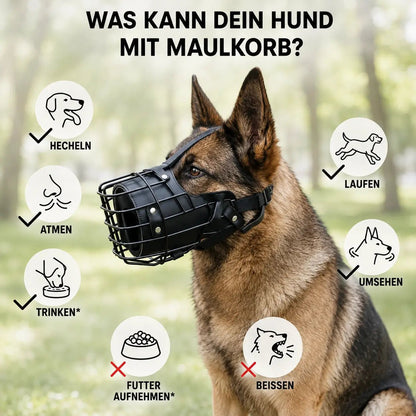 Stainless Steel Basket Dog Muzzle, Breathable Adjustable Muzzle for Medium & Large Dogs - Homvista
