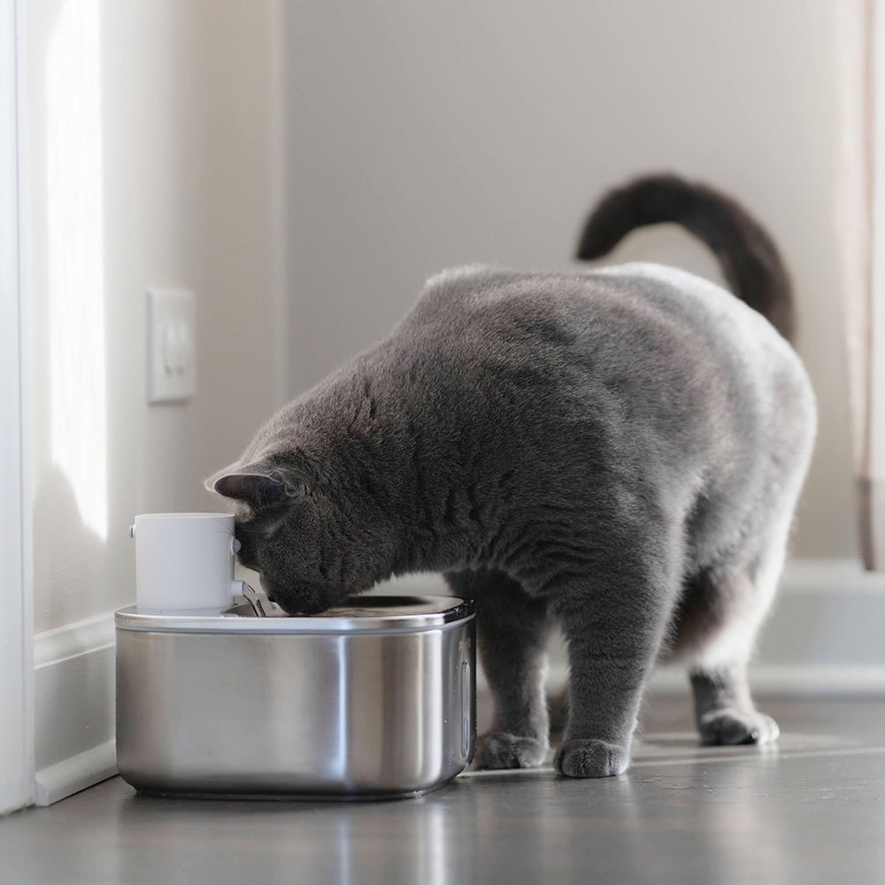 Stainless Steel Cat Water Fountain, 3.2L Cordless Pet Fountain with 5-Layer Filter & Water-Level Indicator - Homvista