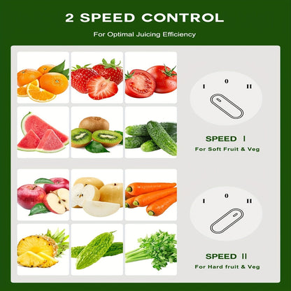 Stainless Steel Juicer Machine for Fruits & Vegetables, 3" Wide Mouth, 3-Speed - Homvista