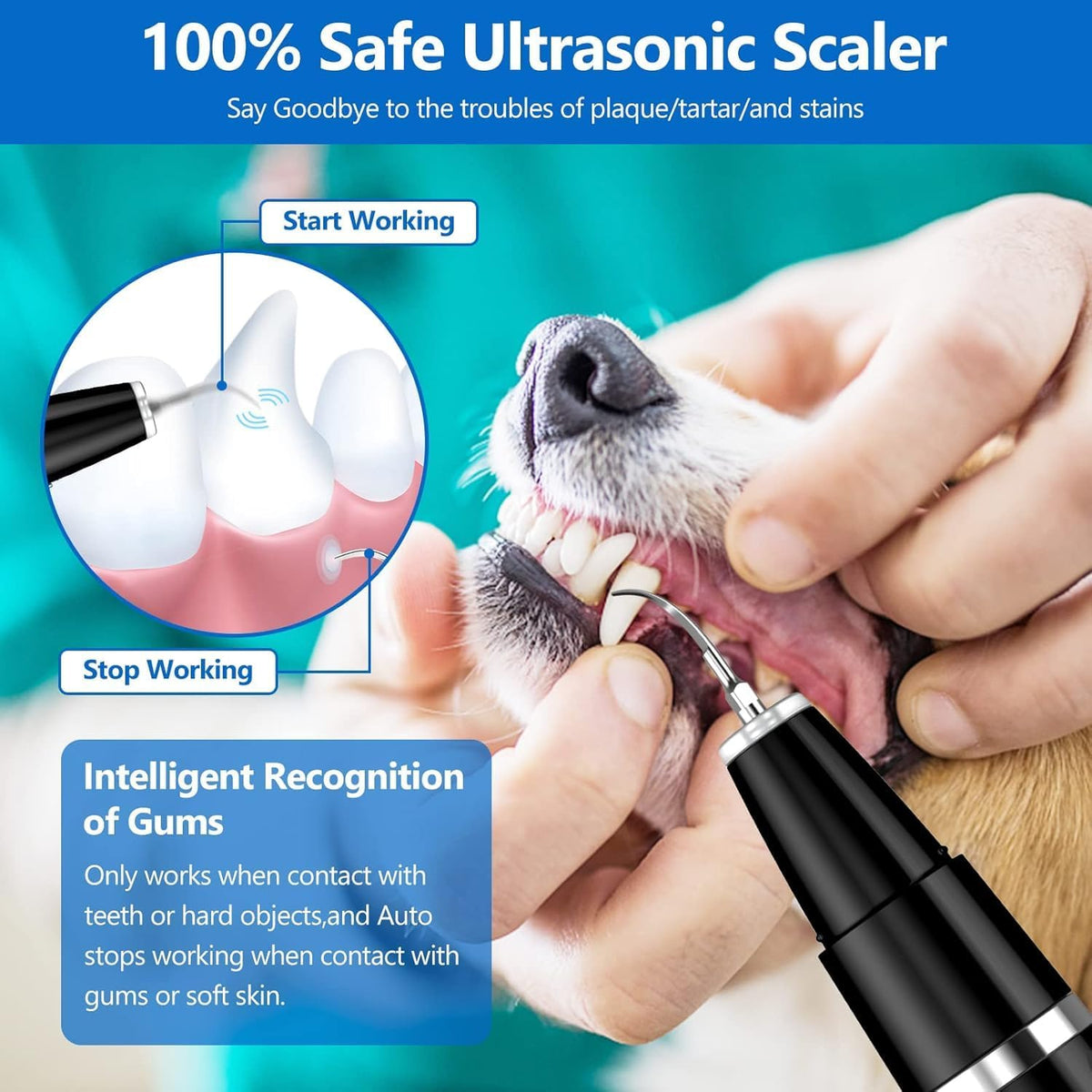 Ultrasonic Pet Dental Cleaner, Dog & Cat Teeth Cleaning Device for At-Home Maintenance - Homvista
