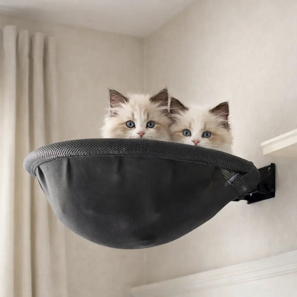 Wall-Mounted Cat Hammock, Foldable Mesh Cat Bed with Metal Frame, 40cm Lounging Area - Homvista