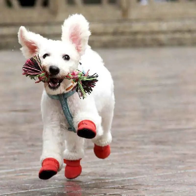 Winter Dog Boots, Insulated Water-Resistant Paw Shoes with Non-Slip Soles - Homvista