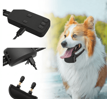 Wireless Dog Fence System, 100–250m Boundary with Waterproof Training Collar for Up to 3 Dogs - Homvista