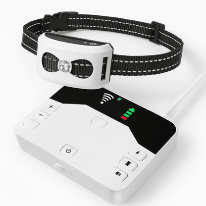 Wireless Dog Fence & Training Collar, 2-in-1 300m Remote System with IP65 Receiver for 1–2 Dogs - Homvista