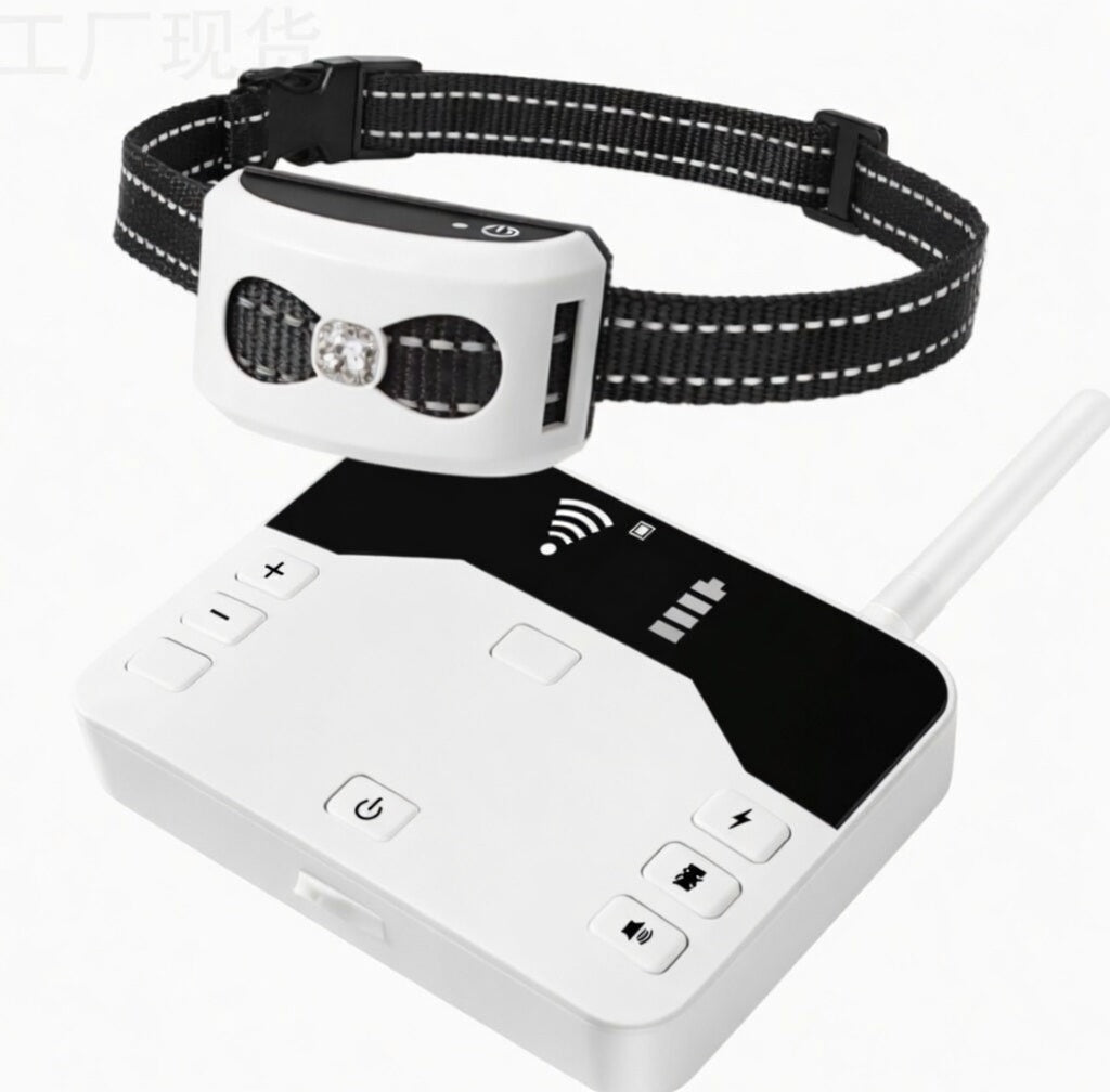 Wireless Dog Fence & Training Collar, 2-in-1 300m Remote System with IP65 Receiver for 1–2 Dogs - Homvista