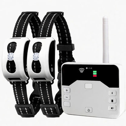 Wireless Dog Fence & Training Collar, 2-in-1 300m Remote System with IP65 Receiver for 1–2 Dogs - Homvista