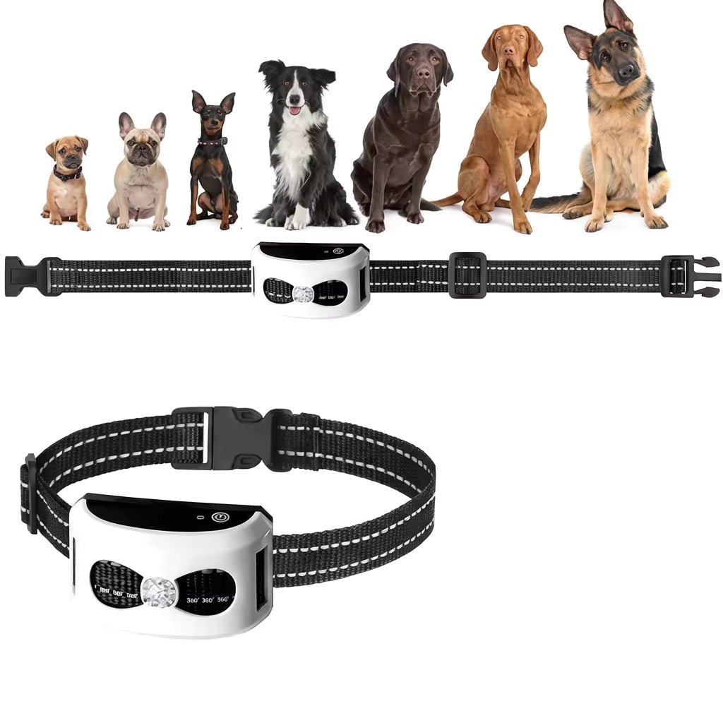 Wireless Dog Fence & Training Collar, 2-in-1 300m Remote System with IP65 Receiver for 1–2 Dogs - Homvista