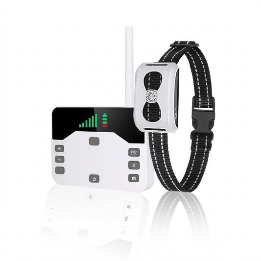 Wireless Dog Fence & Training Collar, 2-in-1 Remote System with 100–150m Range, IP65 - Homvista