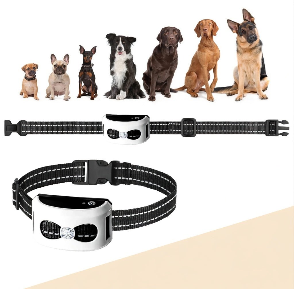 Wireless Dog Fence & Training Collar, 2-in-1 Remote System with 100–150m Range, IP65 - Homvista