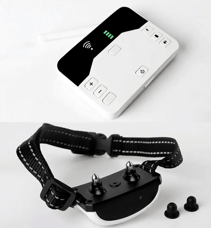Wireless Dog Fence & Training Collar, 2-in-1 Remote System with 100–150m Range, IP65 - Homvista