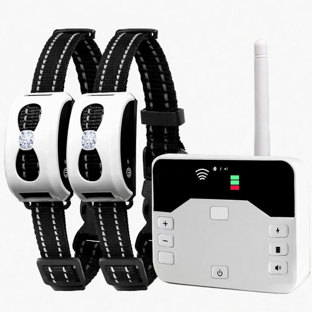 Wireless Dog Fence & Training Collar, 2-in-1 Remote System with 100–150m Range, IP65 - Homvista