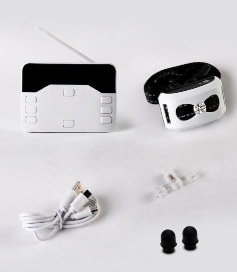 Wireless Dog Fence & Training Collar, 2-in-1 Remote System with 100–150m Range, IP65 - Homvista