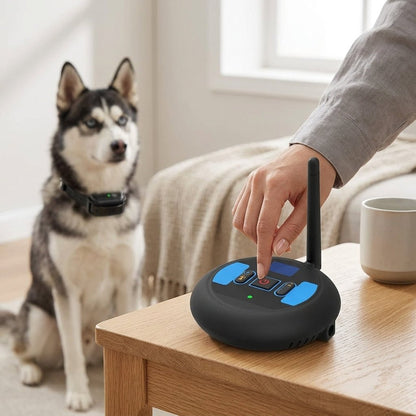 Wireless Dog Fence & Training Collar, 500m Boundary System with Waterproof Receiver for Up to 3 Dogs - Homvista