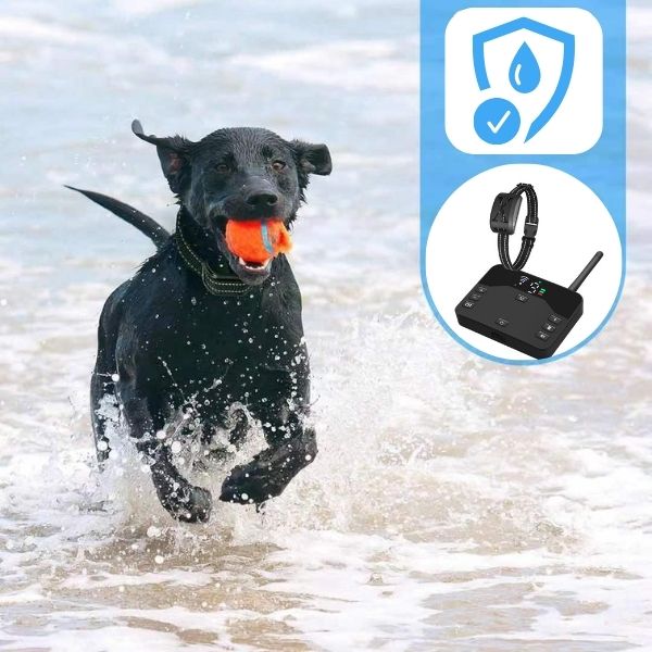 Wireless Dog Fence & Training Collar, 65–1640ft Boundary System for Up to 3 Dogs - Homvista