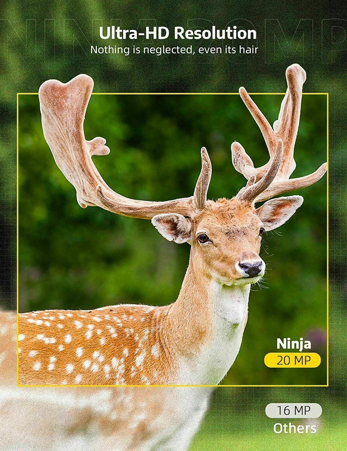 Wireless Hd Wildlife Game Trail Camera With Night Vision - Homvista