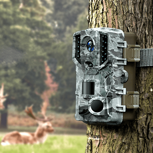Wireless Hd Wildlife Game Trail Camera With Night Vision - Homvista